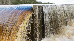 Overflowing - Guy Mills.png